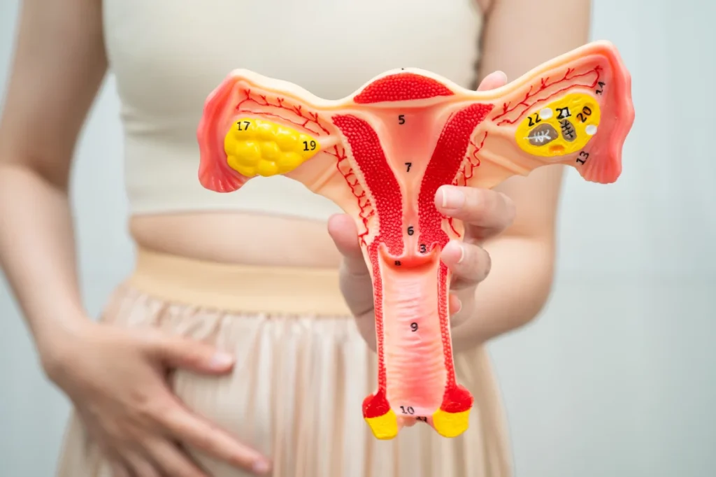  a woman holding a uterus anatomy Karen Mancio Karen Mancio 12:03 PM Nov 20 Set as H2 Karen Mancio Karen Mancio 12:36 PM Nov 21 alt text: a woman receiving womb care through massage with a therapist in Singapore Karen Mancio Karen Mancio 10:45 AM Nov 21 Set as H3 Turn on screen reader supportTo enable screen reader support, press Ctrl+Alt+Z To learn about keyboard shortcuts, press Ctrl+slashBanner hidden 